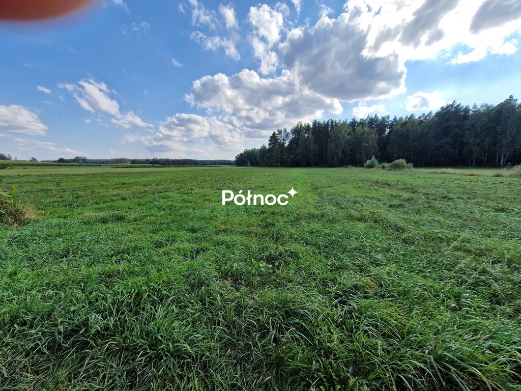 Zdjęcie 13