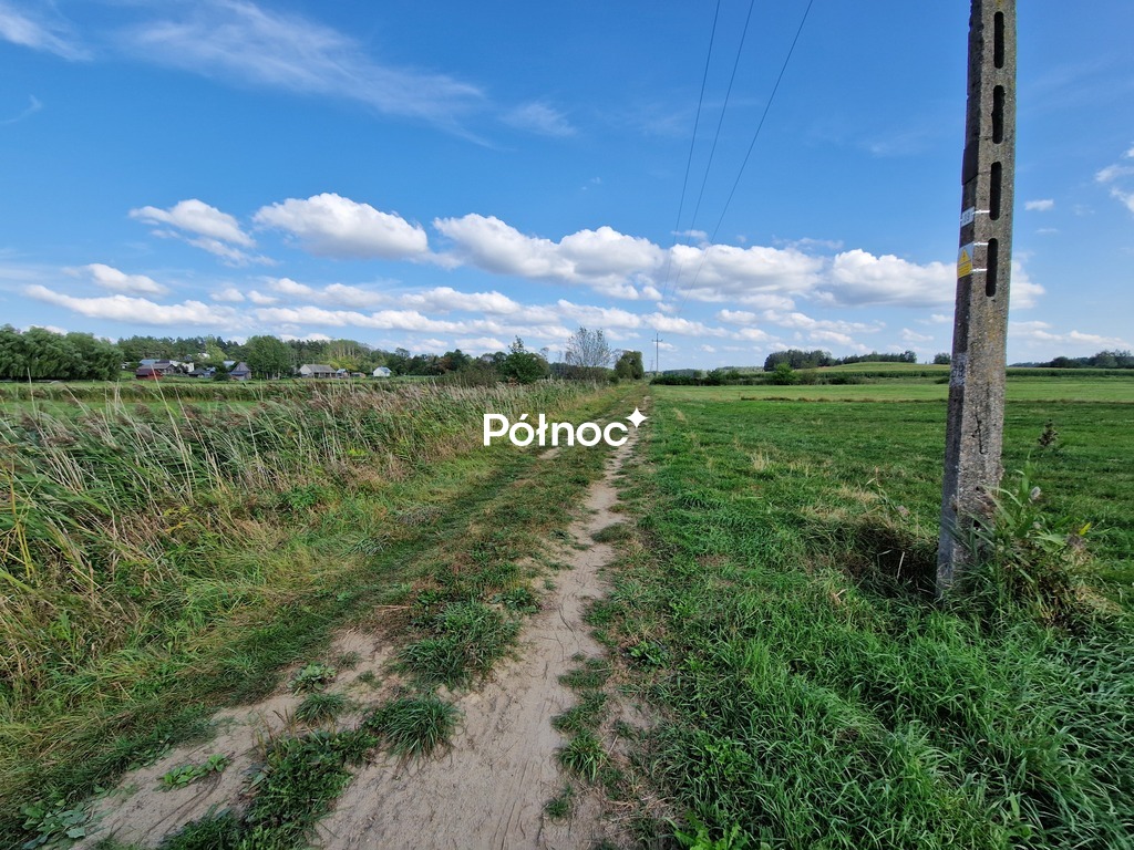 Zdjęcie 14
