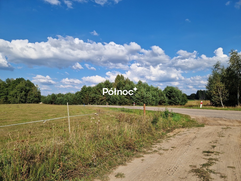 Zdjęcie 18