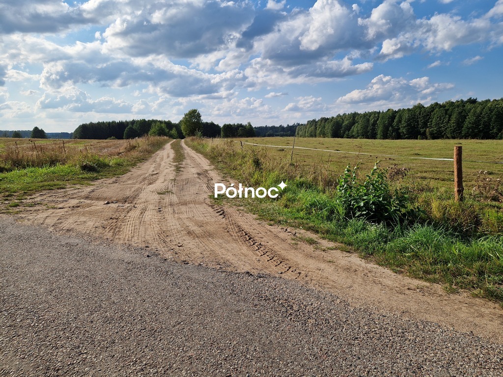 Zdjęcie 19