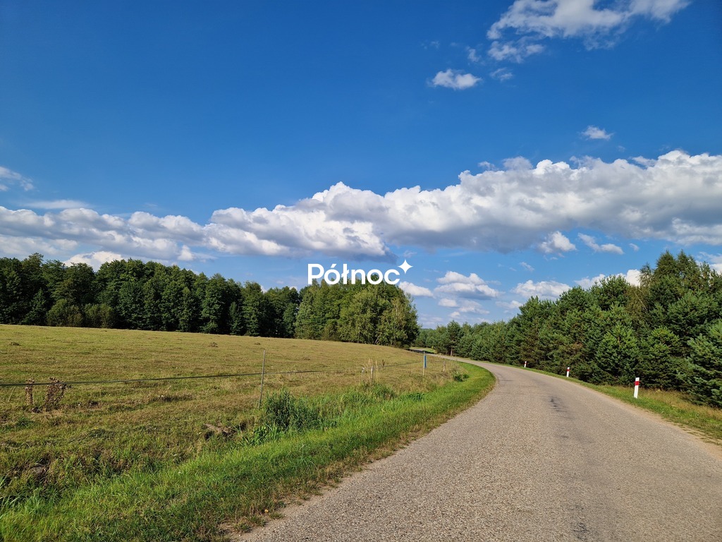 Zdjęcie 20