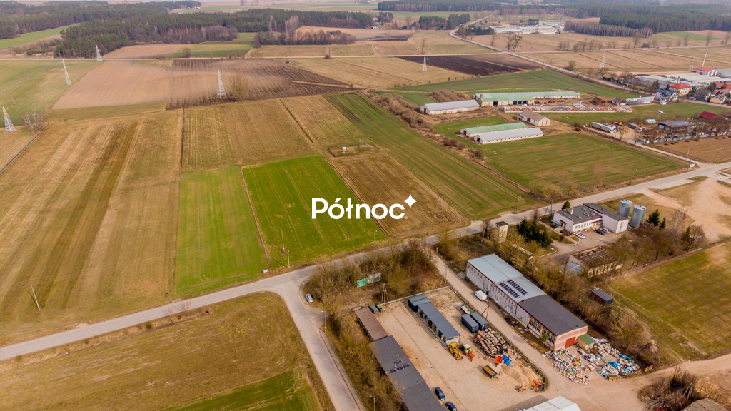 Zdjęcie 10