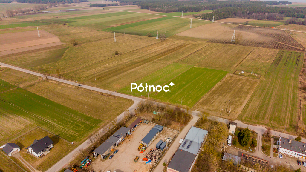 Zdjęcie 11