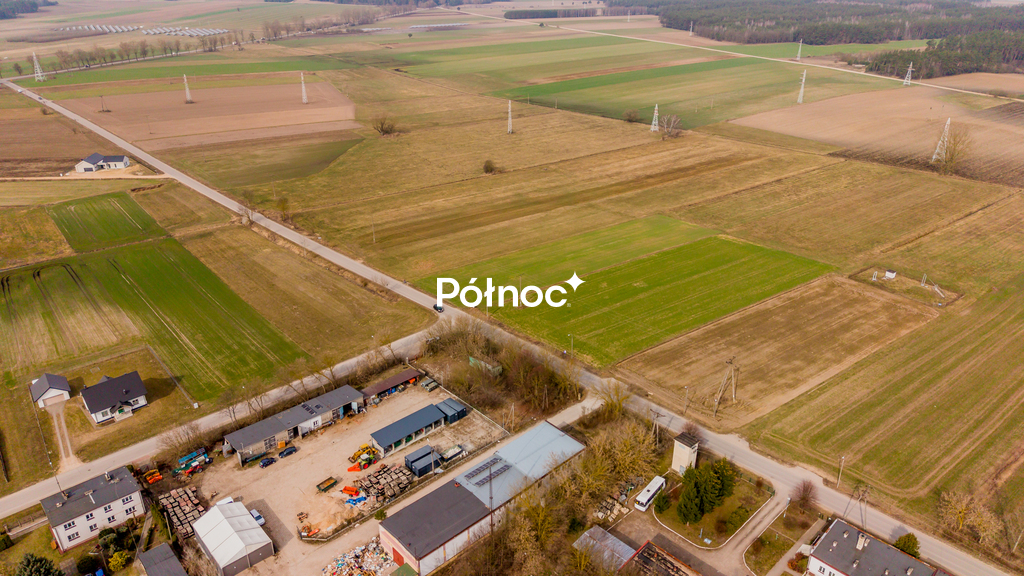 Zdjęcie 12