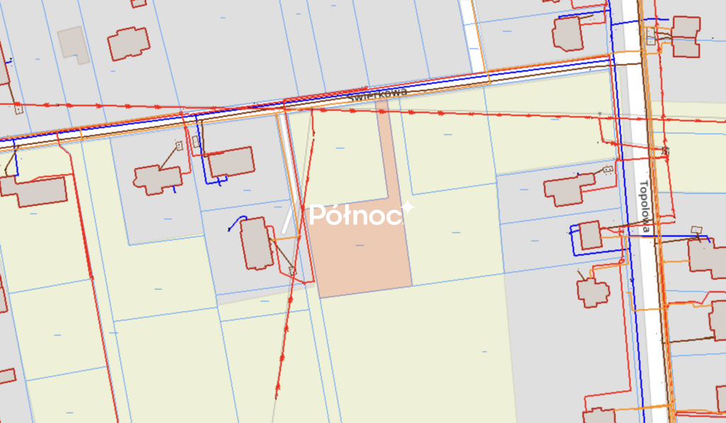 Zdjęcie 10