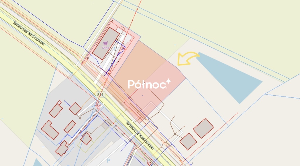 Zdjęcie 6