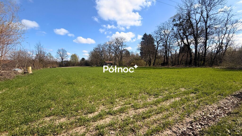 Zdjęcie 4