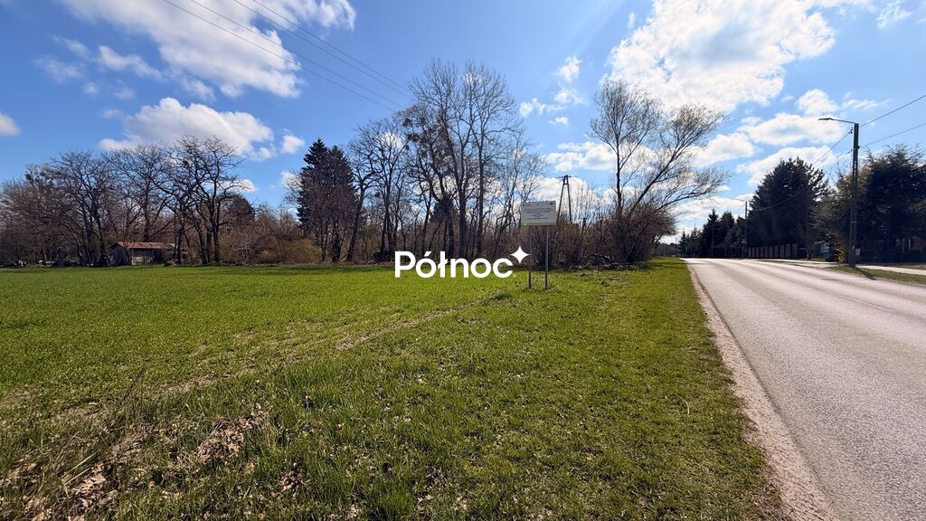 Zdjęcie 5
