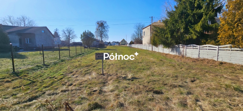 Zdjęcie 5