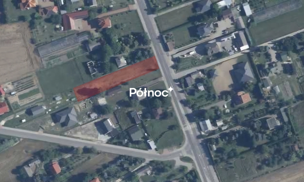 Zdjęcie 9
