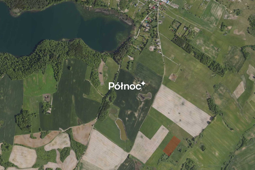 Zdjęcie 14