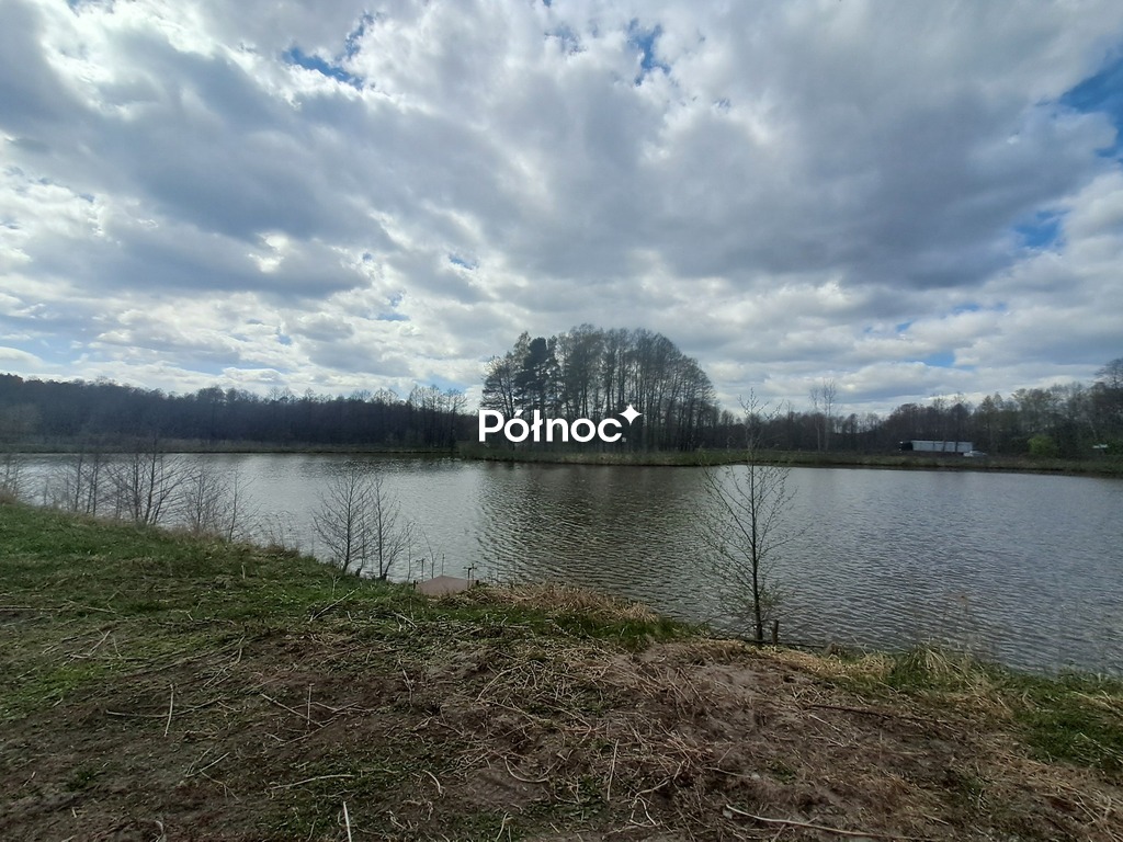 Zdjęcie 3