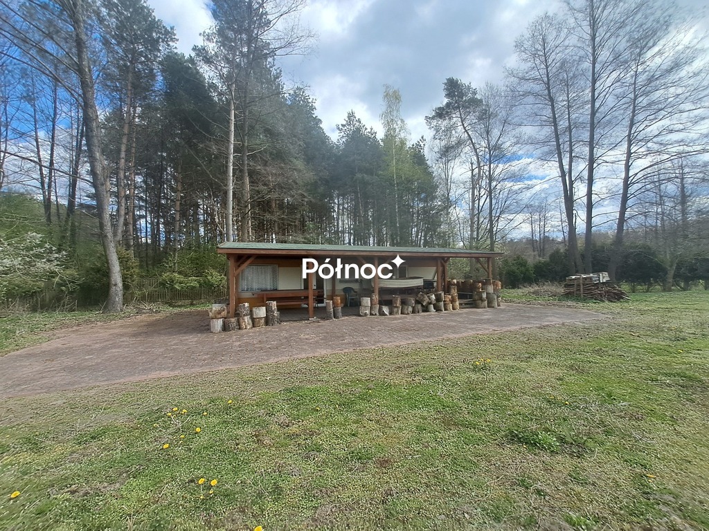 Zdjęcie 6