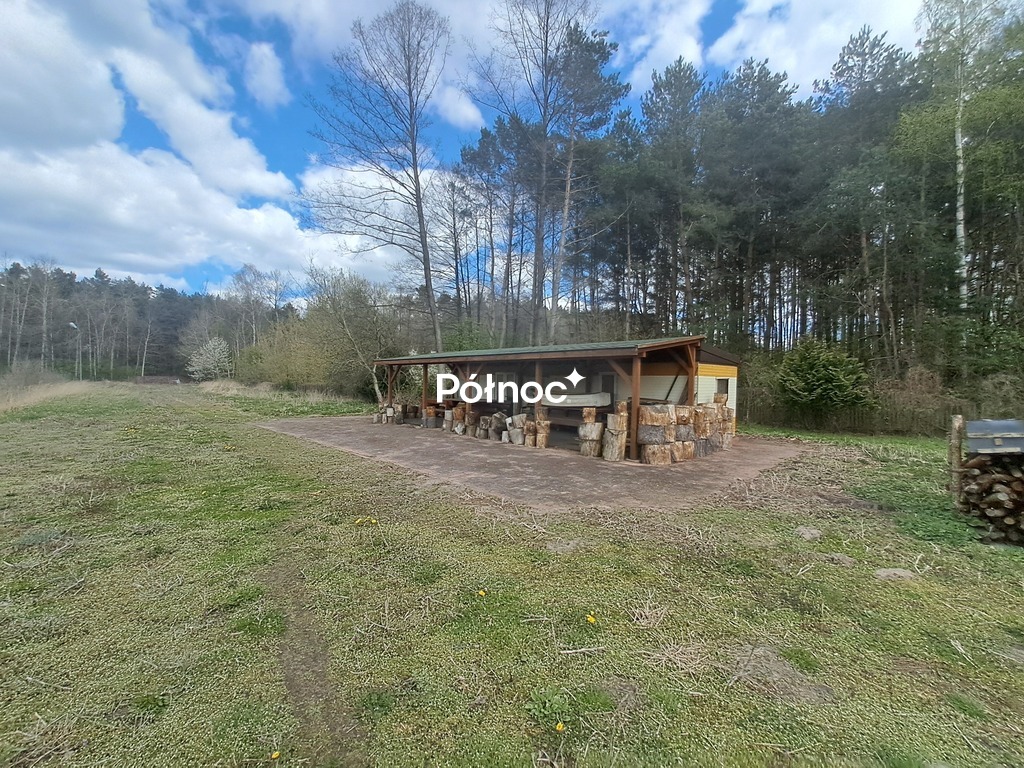 Zdjęcie 7