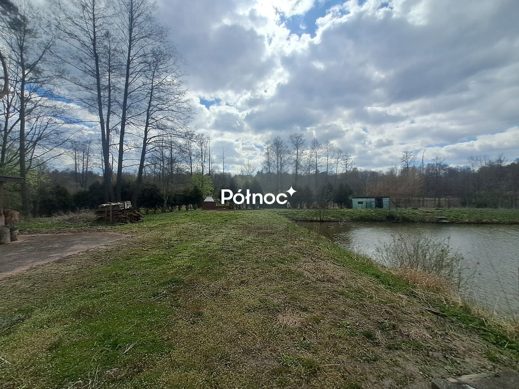 Zdjęcie 8