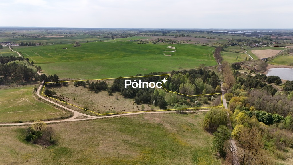 Zdjęcie 6