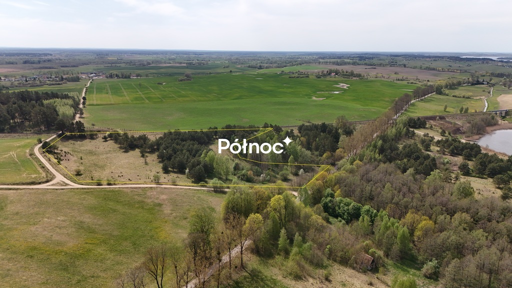 Zdjęcie 7