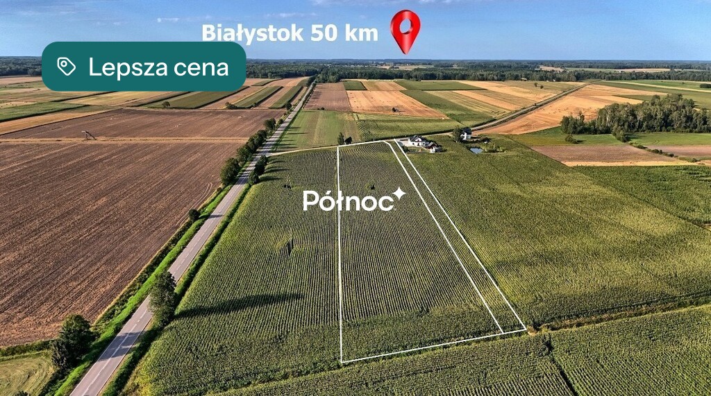 Zdjęcie 3