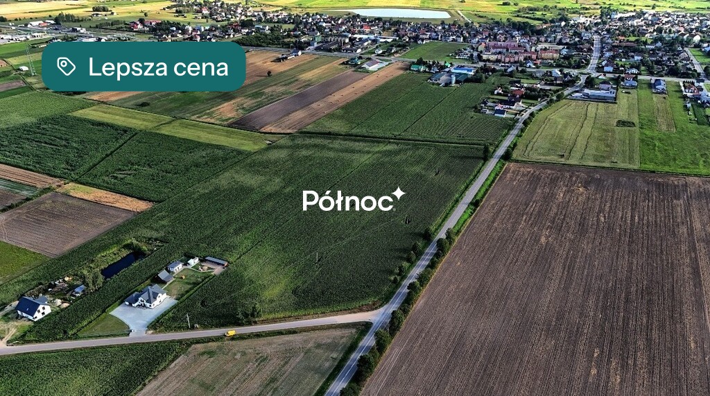 Zdjęcie 4