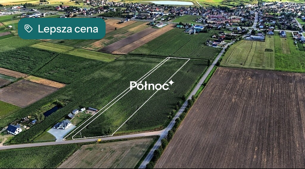 Zdjęcie 5