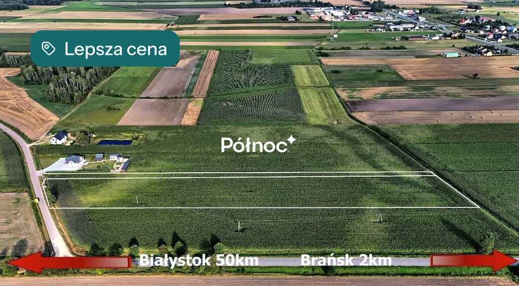 Zdjęcie 6