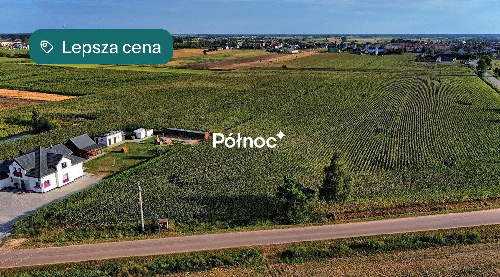 Zdjęcie 7