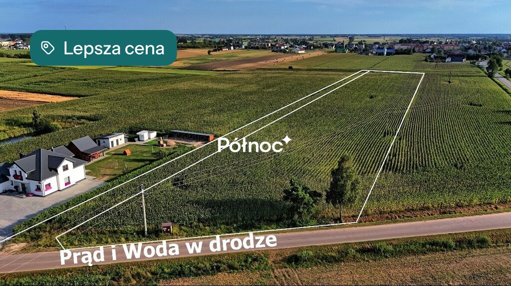 Zdjęcie 8