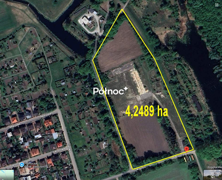 Zdjęcie 10