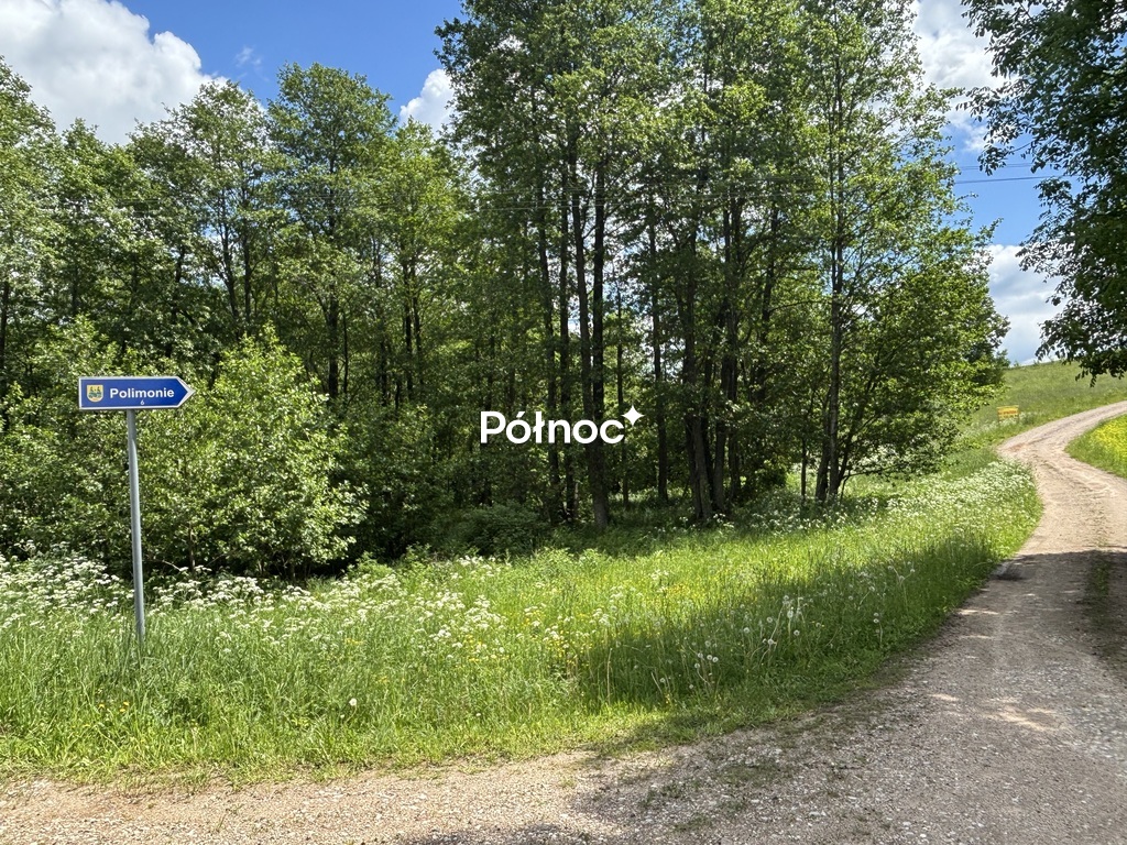 Zdjęcie 2