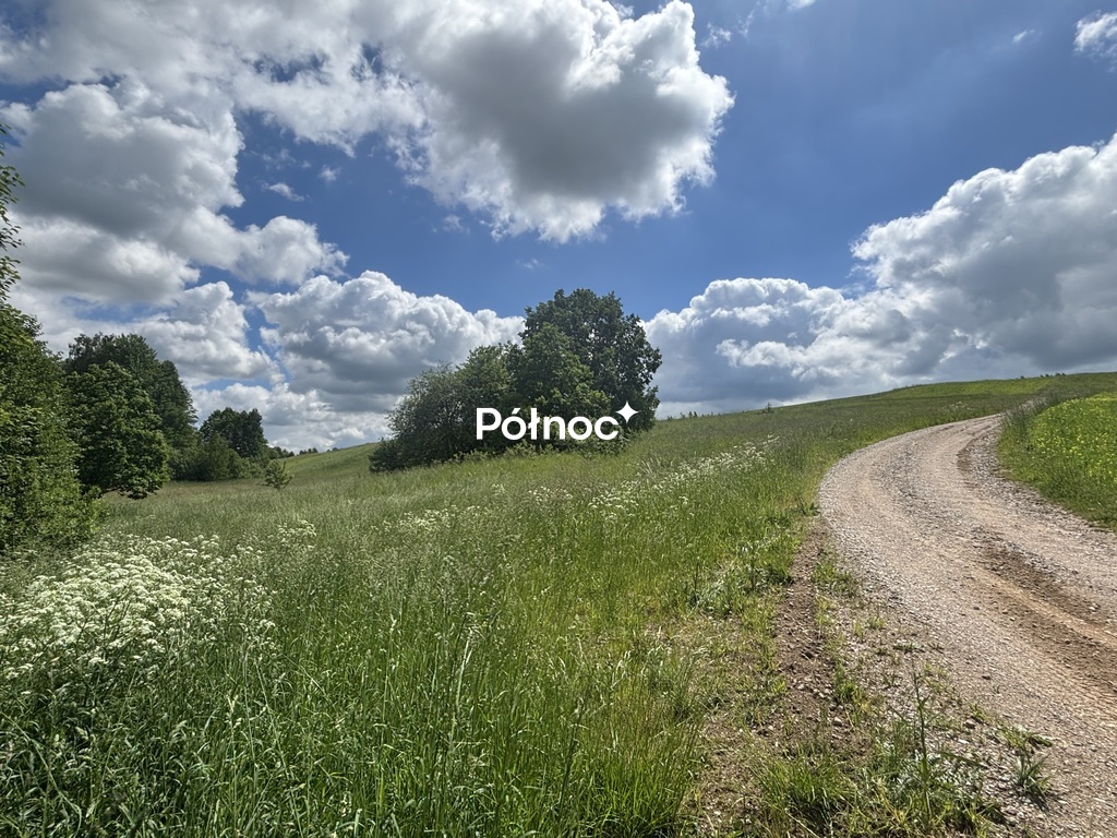 Zdjęcie 18