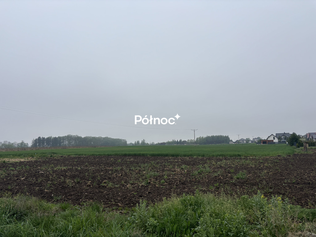 Zdjęcie 5