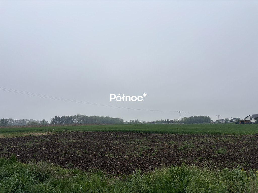 Zdjęcie 6