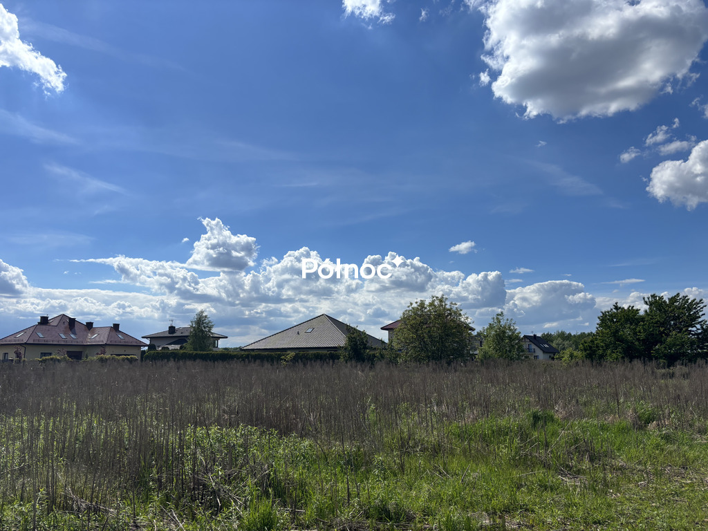 Zdjęcie 3