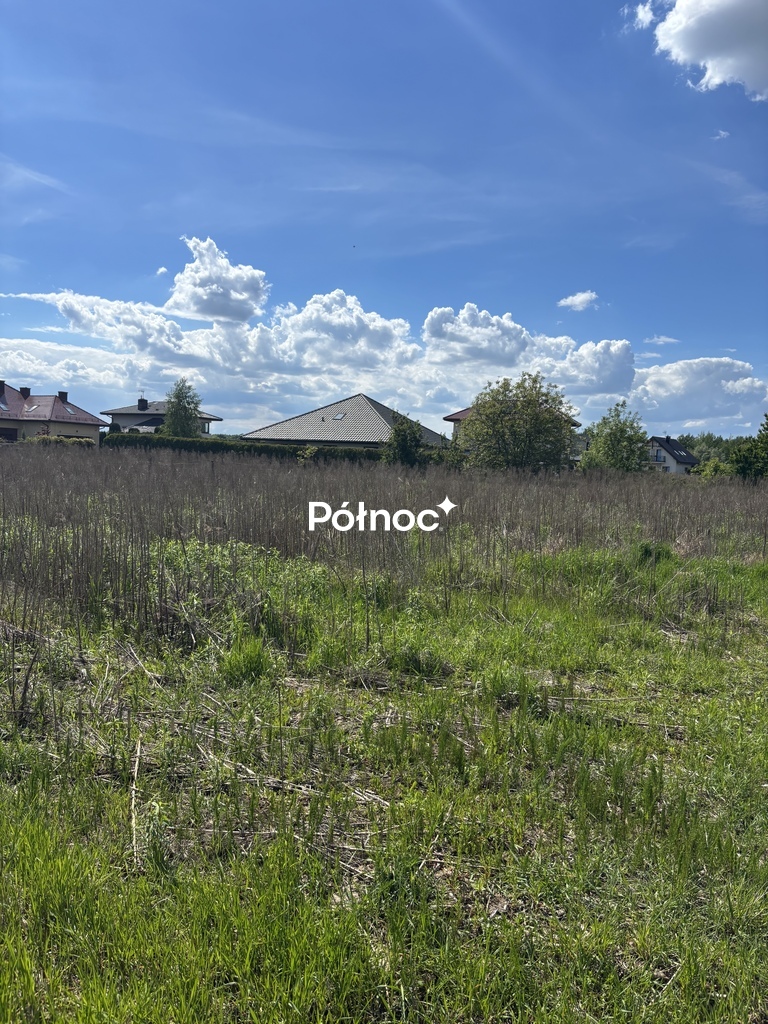 Zdjęcie 6