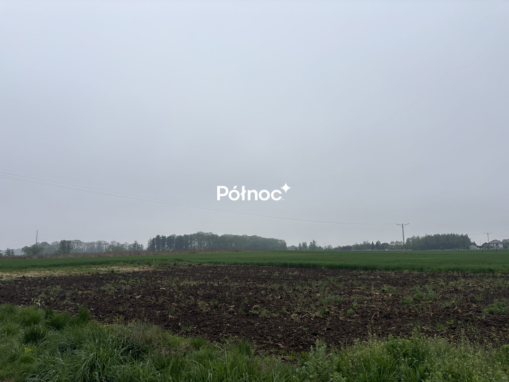 Zdjęcie 4
