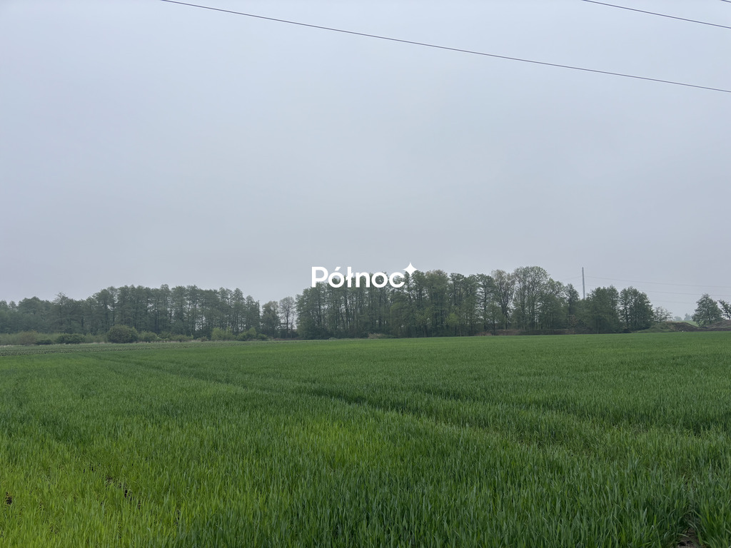 Zdjęcie 6