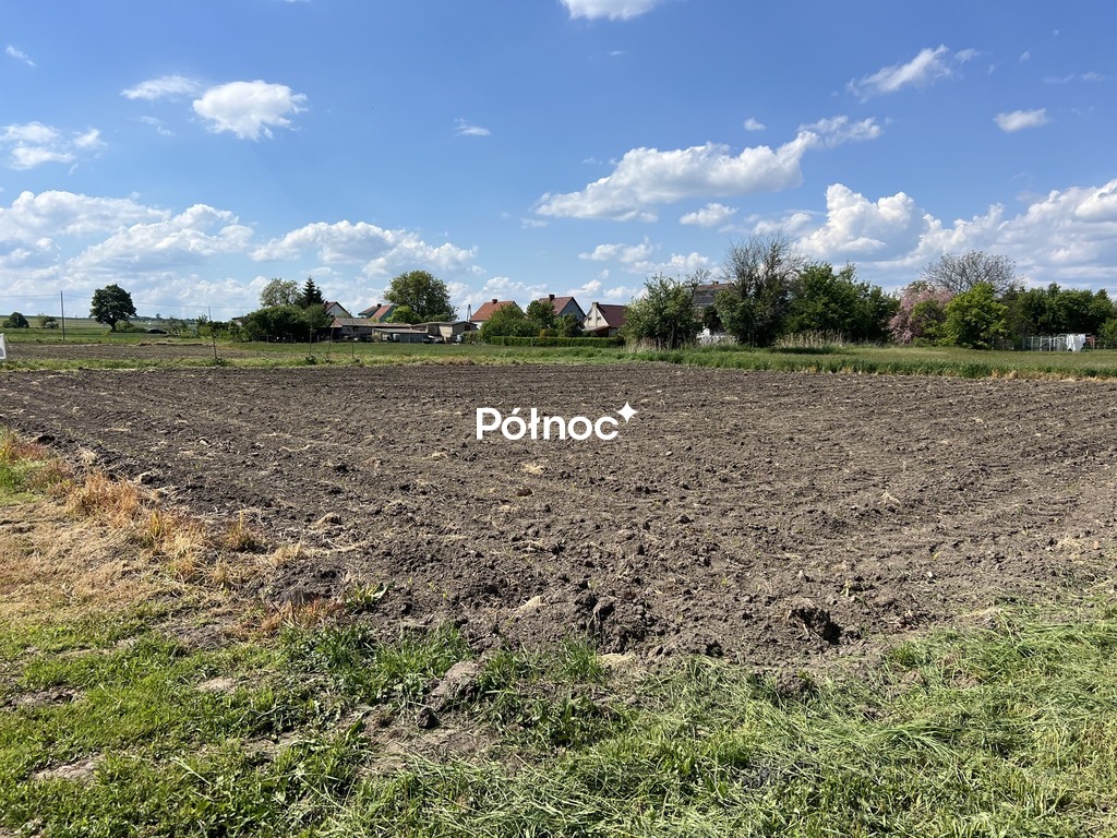 Zdjęcie 4
