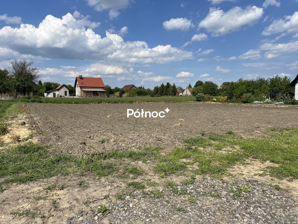 Zdjęcie 7