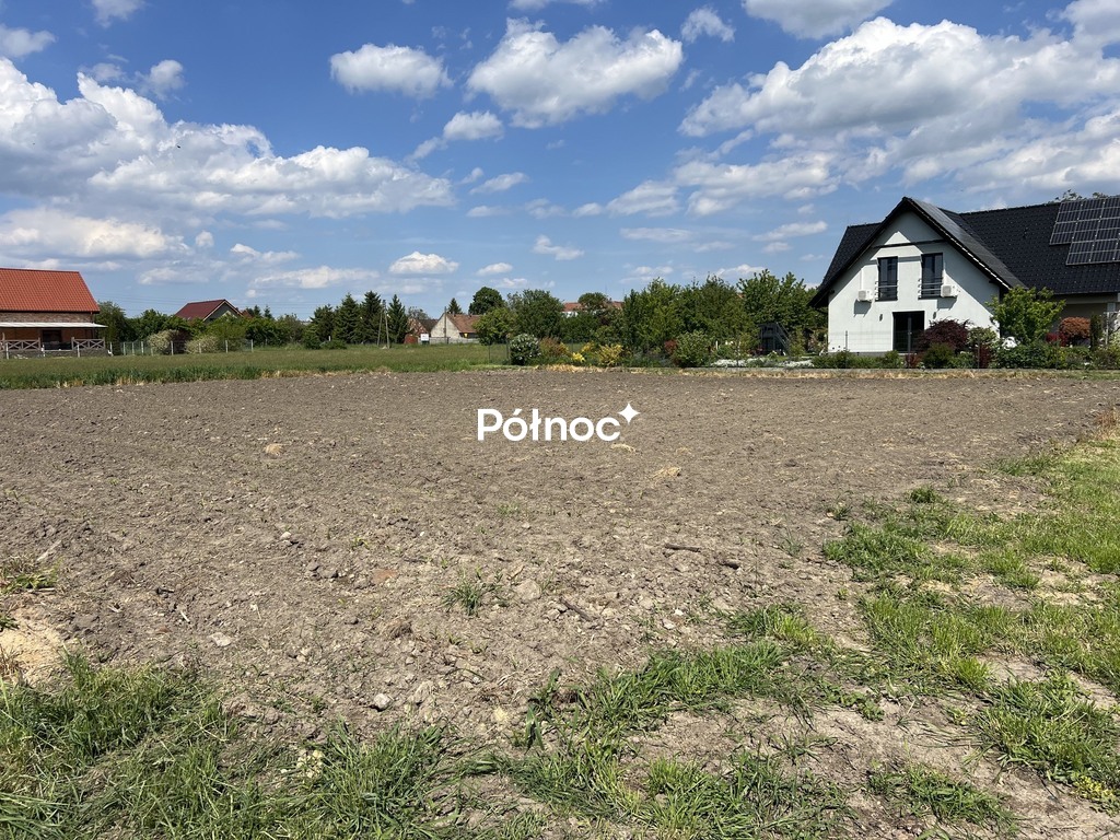 Zdjęcie 8