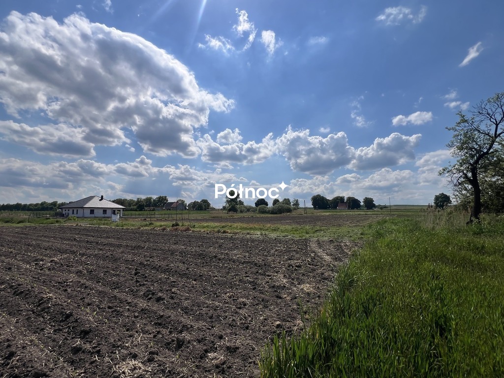 Zdjęcie 10