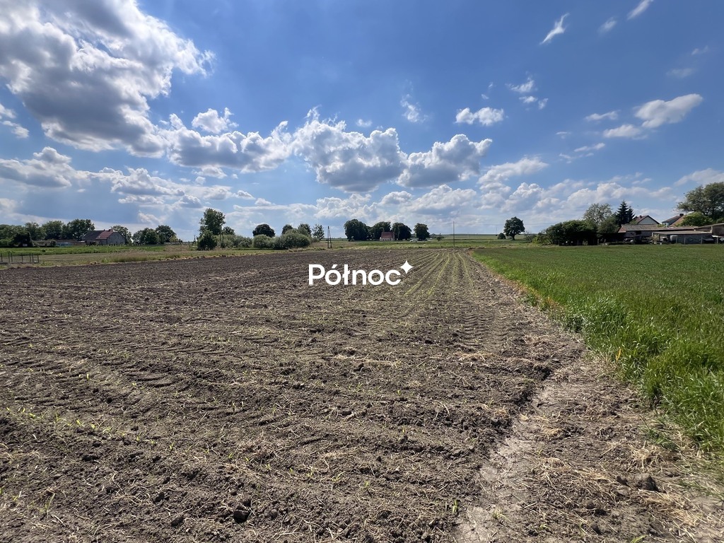 Zdjęcie 2