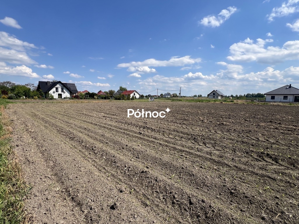 Zdjęcie 4
