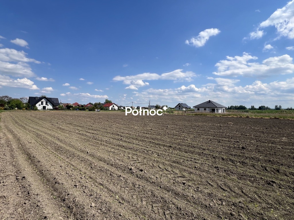 Zdjęcie 6