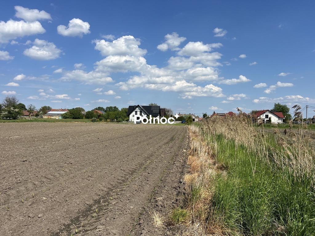 Zdjęcie 8