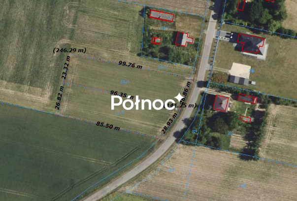 Zdjęcie 5