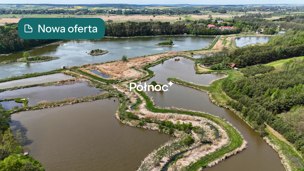Staw rybny 2,74 ha – Małochwiej Duży