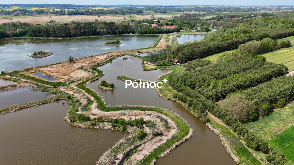 Zdjęcie 6