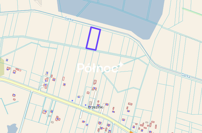 Zdjęcie 5