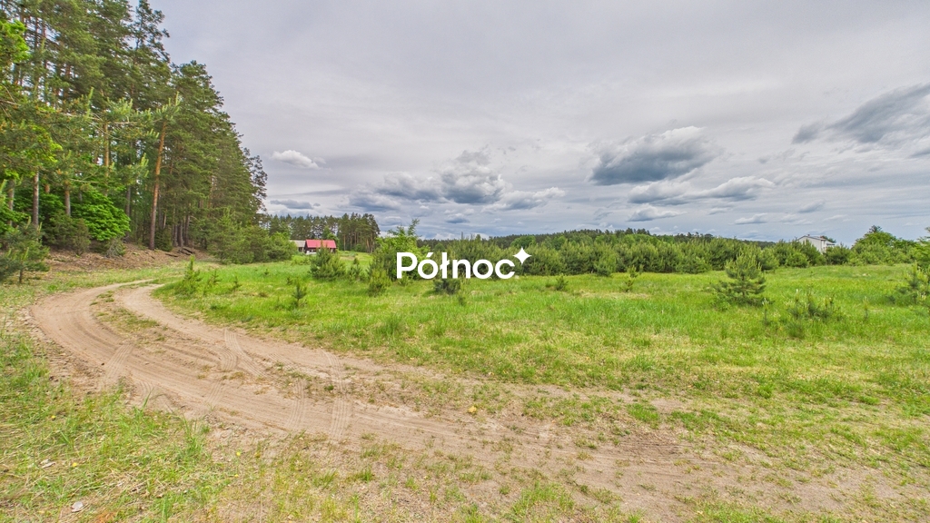 Zdjęcie 6