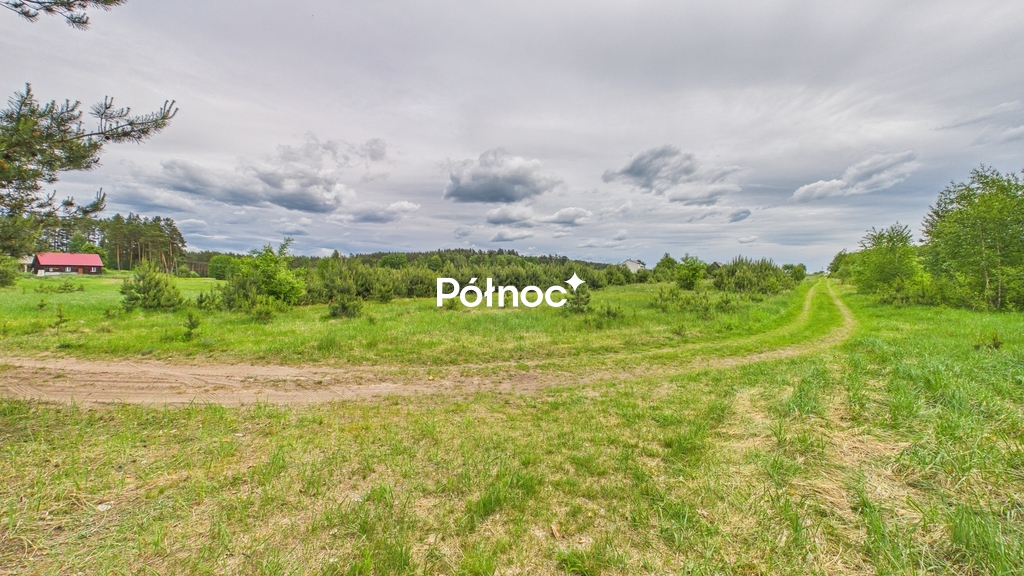 Zdjęcie 7